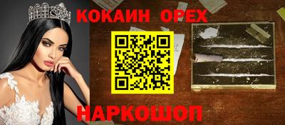 стафф Кингисепп