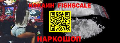 стафф Кингисепп