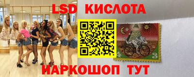 стафф Кингисепп