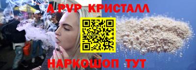 стафф Кингисепп