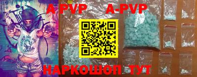 стафф Кингисепп