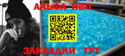 стафф Кингисепп