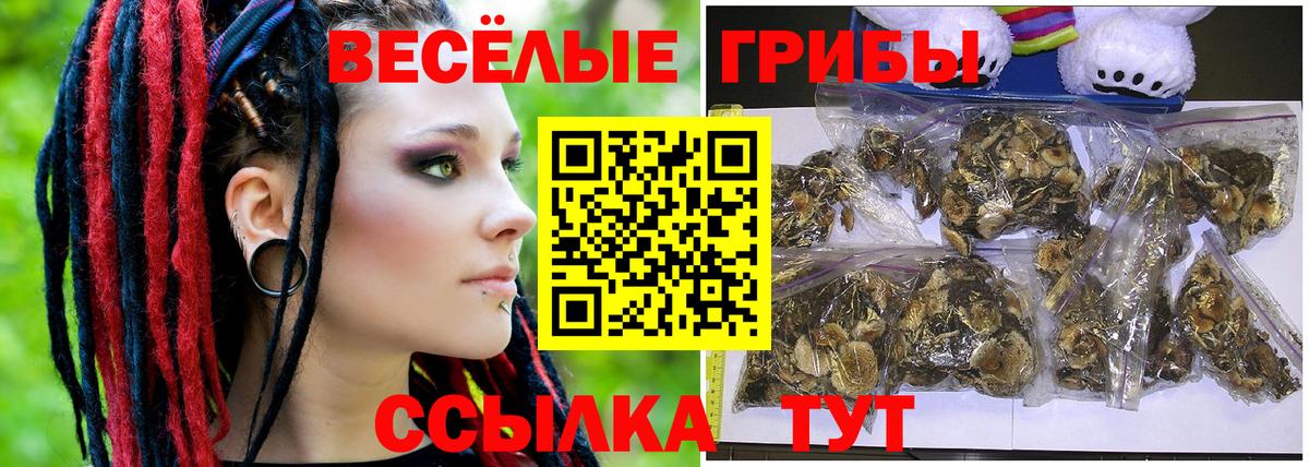 Псилоцибиновые грибы GOLDEN TEACHER  Вход с VPN  Галлюциногенные грибы прущие грибы  Кудымкар 